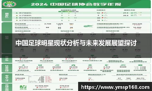 中国足球明星现状分析与未来发展展望探讨