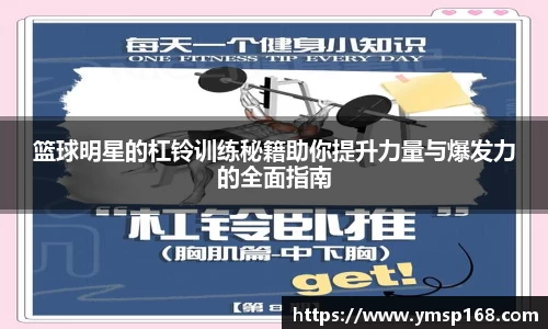 篮球明星的杠铃训练秘籍助你提升力量与爆发力的全面指南